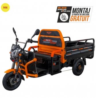 Triciclu electric Cargo RURIS PILOT 3120 N 2000 W