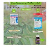 AGRII PACK POMI FRUCTIFERI NEW R